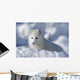 Arctic Fox Exploring Fresh Snow Wall Mural