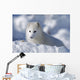 Arctic Fox Exploring Fresh Snow Wall Mural