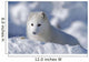 Arctic Fox Exploring Fresh Snow Wall Mural