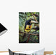 Collared Aracari On Tree Branch, Belize Wall Mural
