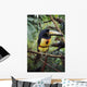 Collared Aracari On Tree Branch, Belize Wall Mural