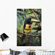 Collared Aracari On Tree Branch, Belize Wall Mural