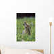 Wolf Puppy Howling In Mountain Meadow Wall Mural