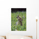 Wolf Puppy Howling In Mountain Meadow Wall Mural