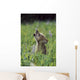 Wolf Puppy Howling In Mountain Meadow Wall Mural