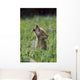 Wolf Puppy Howling In Mountain Meadow Wall Mural
