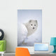 Arctic Fox Exploring Fresh Snow Wall Mural