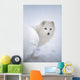 Arctic Fox Exploring Fresh Snow Wall Mural