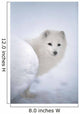 Arctic Fox Exploring Fresh Snow Wall Mural