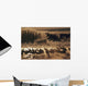 Sandhill Crane Flock On Pond Wall Mural