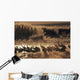 Sandhill Crane Flock On Pond Wall Mural