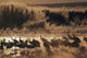 Sandhill Crane Flock On Pond Wall Mural