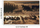 Sandhill Crane Flock On Pond Wall Mural