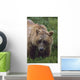 Grizzly Bear Wall Mural