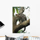 Margay In A Tree Wall Mural