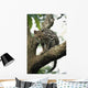 Margay In A Tree Wall Mural