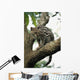 Margay In A Tree Wall Mural
