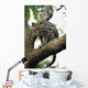 Margay In A Tree Wall Mural