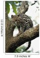 Margay In A Tree Wall Mural