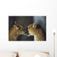 Mountain Lion Cub Nuzzles Mother's Face Wall Mural