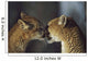 Mountain Lion Cub Nuzzles Mother's Face Wall Mural