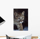 Mountain Lion Wall Mural