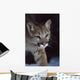 Mountain Lion Wall Mural