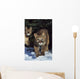 Mountain lion cub walking on snow toward camera, mother in background Wall Mural