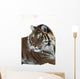 Siberian tiger portrait, with bits of snow on face and whiskers Wall Mural