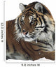 Siberian tiger portrait, with bits of snow on face and whiskers Wall Mural