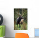 Roosevelt Elk Wall Mural
