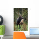 Roosevelt Elk Wall Mural