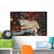 Bobcat Walks On Branch Through Hawthorn In Autumn Wall Mural