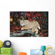 Bobcat Walks On Branch Through Hawthorn In Autumn Wall Mural