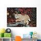Bobcat Walks On Branch Through Hawthorn In Autumn Wall Mural