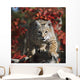 Bobcat Walks Along Branch Through Red Leaves Of A Hawthorn In Autumn Wall Mural