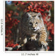 Bobcat Walks Along Branch Through Red Leaves Of A Hawthorn In Autumn Wall Mural