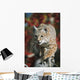 Bobcat Walks Along Branch Through Red Leaves Of A Hawthorn In Autumn Wall Mural