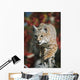 Bobcat Walks Along Branch Through Red Leaves Of A Hawthorn In Autumn Wall Mural