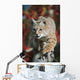 Bobcat Walks Along Branch Through Red Leaves Of A Hawthorn In Autumn Wall Mural