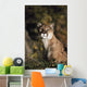 Portrait Of Mountain Lion Wall Mural