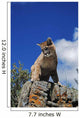 Young Mountain Lion Looks Down From Rock Outcrop Wall Mural