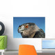 Cooper's Hawk Wall Mural