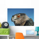 Cooper's Hawk Wall Mural