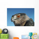 Cooper's Hawk Wall Mural