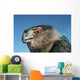Cooper's Hawk Wall Mural