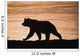 Young Grizzly Bear Walks Along Edge Of Lake At Sunset Wall Mural