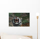 Siberian Tiger Bares Fangs Wall Mural