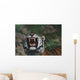 Siberian Tiger Bares Fangs Wall Mural