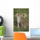 Young Cheetahs In Grassland Habitat, Africa Wall Mural